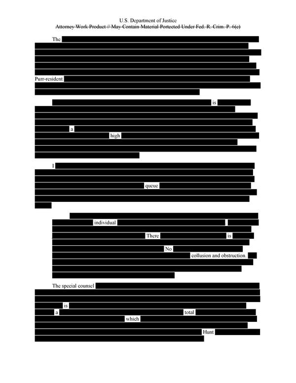 Page one of the redacted report leaked by an anonymous source to the Meow York Times